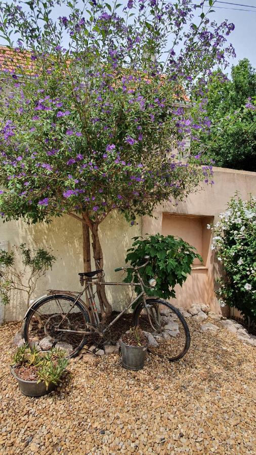 Gites "Tout Au Sud De La France" Pomérols Exteriör bild