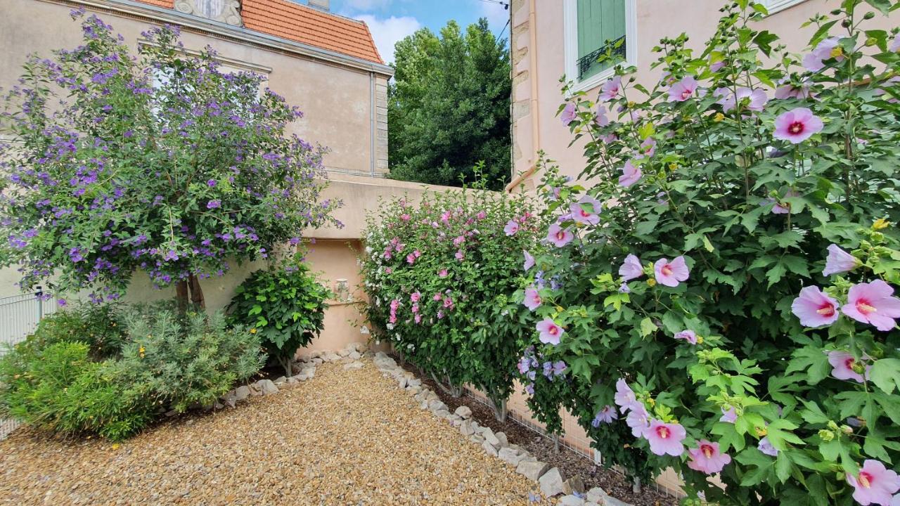 Gites "Tout Au Sud De La France" Pomérols Exteriör bild